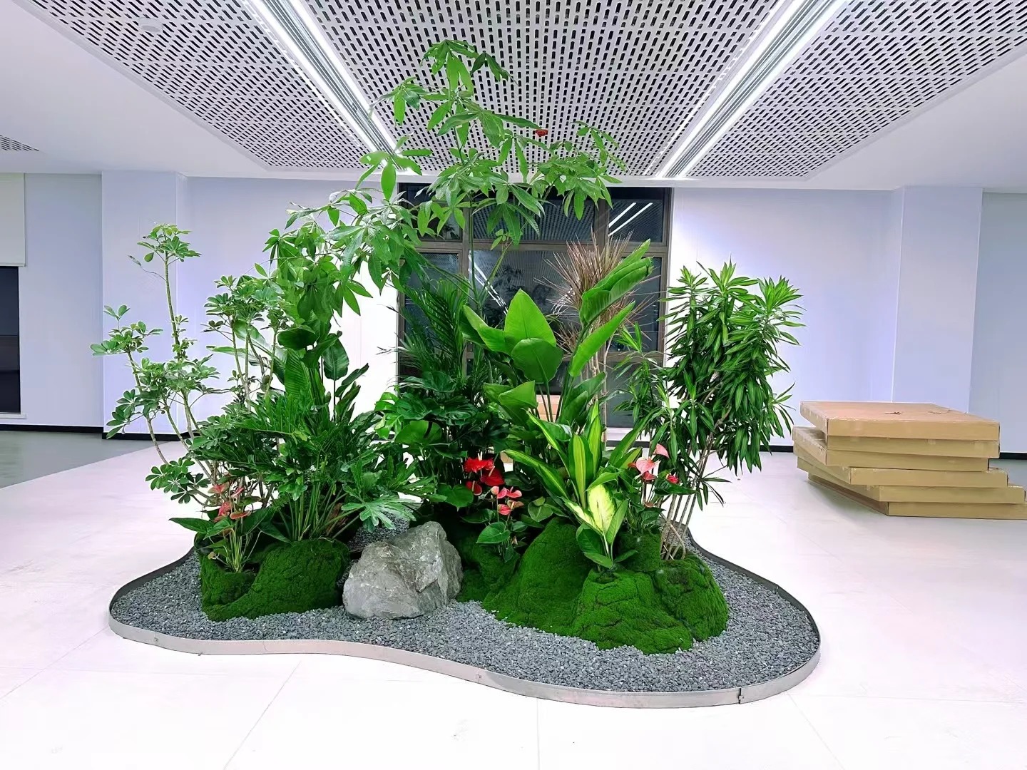 专业余姚盆景租摆，打造别样景观盛宴