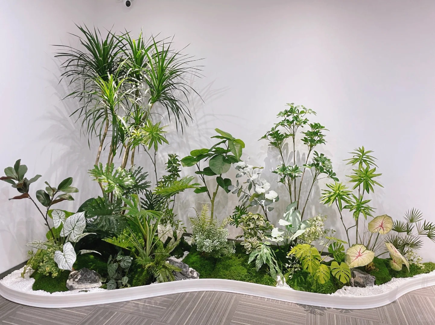 专业江北盆景出租,打造别具一格的室内外景观